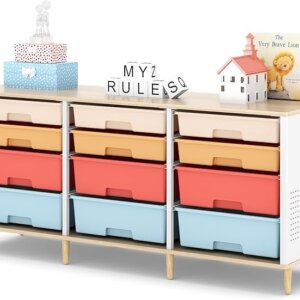 12 Drawer Rainbow Storage Cabinet with Wooden Top Organizer
