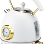 61RkGukH1GL._AC_SL1500_